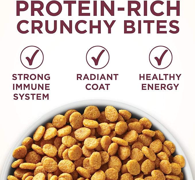 Purina ONE High Protein Dry Cat Food, +Plus Urinary Tract Health Formula - 22 lb. Bag