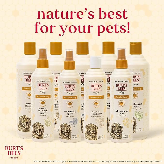 Burt’s Bees for Pets Deodorizing Shampoo with Manuka Honey and Charcoal for Dogs - Naturally Derived Ingredients, 16 Fl Oz