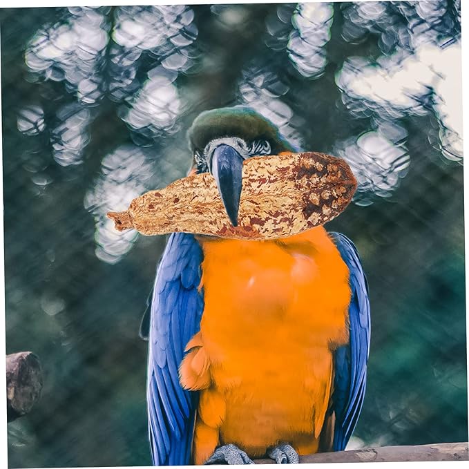 Kichvoe 4pcs Parrot Chew Natural Foraging Bird Biting for Macaw Budgie Conure Healthy Shredding to Boredom and Promote Mental Health