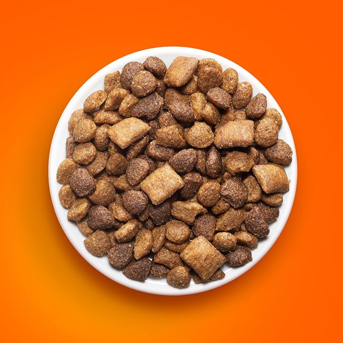 IAMS Healthy Enjoyment Dry Cat Food Chicken & Salmon Recipe, Cat Food Dry Recipe, 15 lb. Bag
