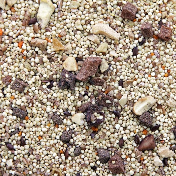 Worldly Cuisines Bird Food Appetizer