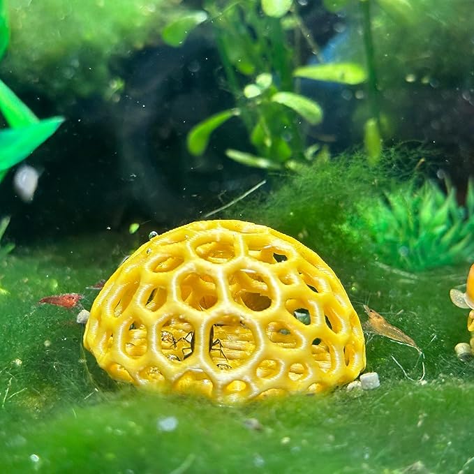 Shrimp Dome Hide - Aquarium Cherry Shrimp Hide - CTWPets Cherry Shimpe Hide (Black)