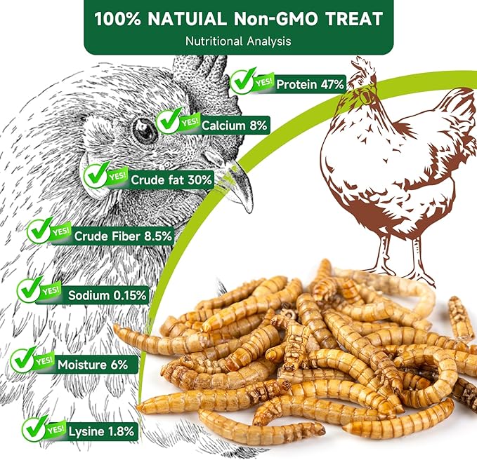 Black Soldier Fly Larvae Worms for Chickens, 10.5LB, 100% Natural Non-GMO BSFL Chicken Food, More Calcium Than Dried Mealworms, High Protein Chicken Treats for Layer Hens, Wild Birds, Ducks