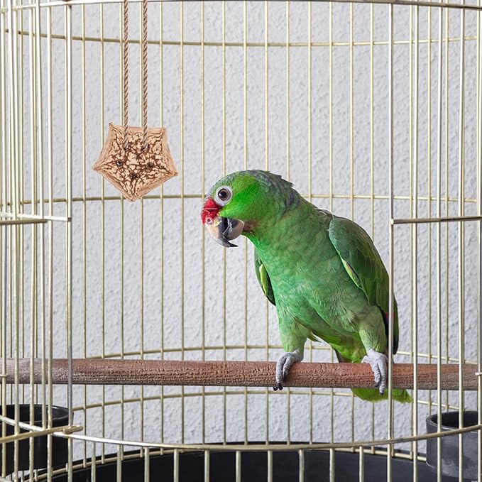 POPETPOP Parrot Foraging and Bird Shredding Natural Chewing Blocks 12Pcs Healthy Wooden Chew Treats for Parakeets and Small Birds Cage Accessories