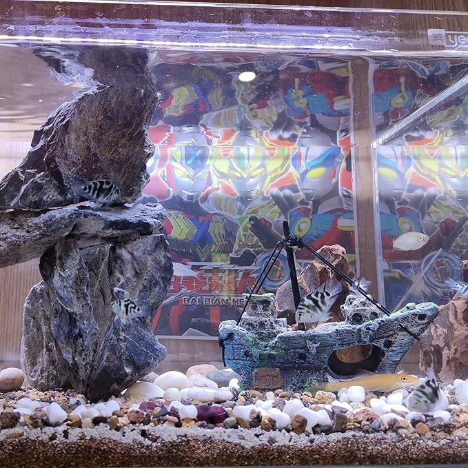 Aquarium Shipwreck Decoration + Little Diver Floating Fish Tank Decoration, Fish Tank Ornaments