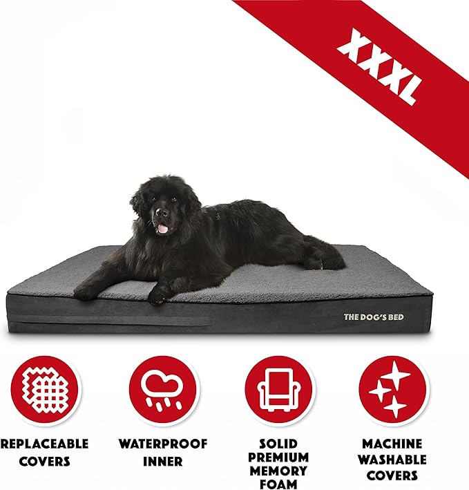The Dog’s Bed Orthopedic Memory Foam Dog Bed Mattress, Plush Fabric, Grey Plush, XXXL, 6-Inch