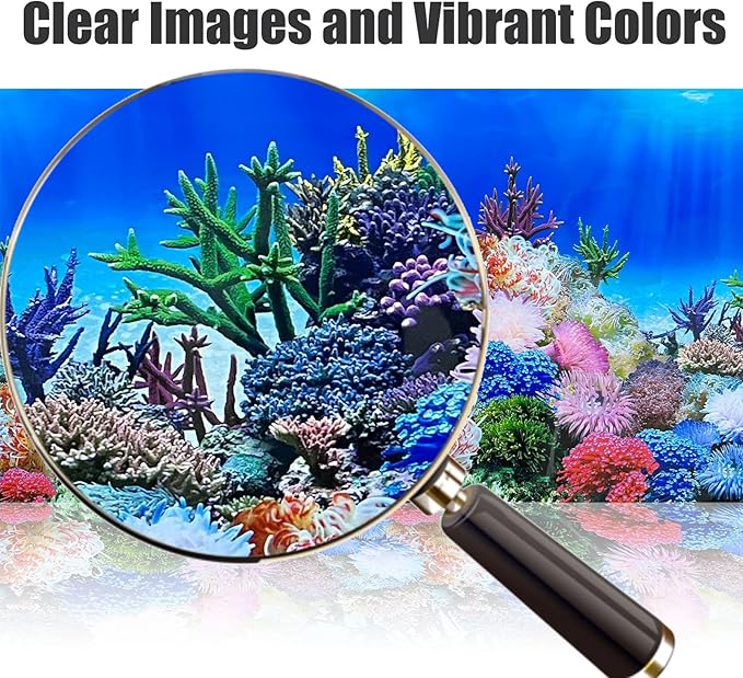 Fish Backgrounds Paper Double Sides Undersea Aquarium Background Poster Colorful Sea Anemone Fish Tank Background Sticker Decorations 16"x 33"