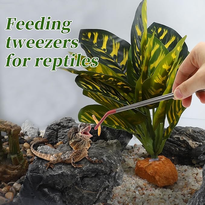 Stainless Steel Reptile Feeding Tongs, Curved Aquarium Tweezers with Rubber Tip, Terrarium Tongs for Gecko, Lizard & More, 10.63" Length, Red