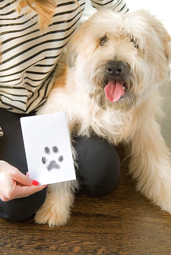Pearhead Paw Print Clean Touch Ink Pad Kit for Dogs and Cats,Pet Owner Keepsake,DIY Inkless Paw and Nose Print Impression Set,Small/Medium,(Pack of 2)