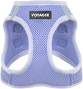 Best Pet Supplies Voyager Step-in Air Harness - All Weather Mesh, Reflective, No Pull Harness for Dogs, Cats - Secure with Hook & Loop Fastener, Buckle, Double D-Rings - Lavender, XXS
