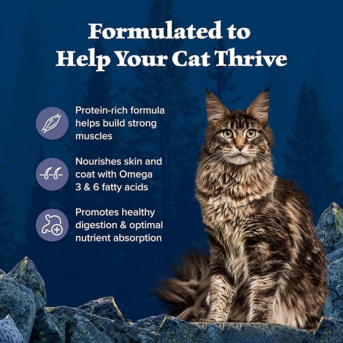 Blue Buffalo Wilderness Nature's Evolutionary Diet High-Protein, Grain-Free Natural Dry Food for Adult Cats, Chicken, 9.5-lb Bag