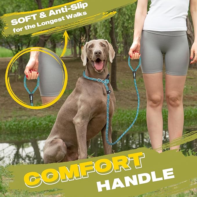 Fida Durable Slip Lead Dog Leash, 6 FT x 1/2" Heavy Duty Loop Comfortable Strong Rope Lead for Large, Medium Dogs, No Pull Pet Training with Highly Reflective, Blue (Pack of 2)