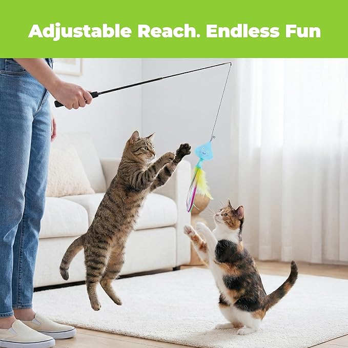 Catify Meow Chase Playset, Retractable Cat Wand Toy with 6 Feather Teaser Cat Toys Attachment, Flexible Cat Teaser Wand for Indoor Cats and Kittens, Cat Fishing Pole Style Toy for Exercise and Bonding