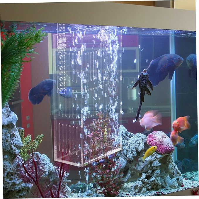 Mikikit Acrylic Fish Incubator for Betta Sturdy Aquarium Breeding Box Fish Tank Separator
