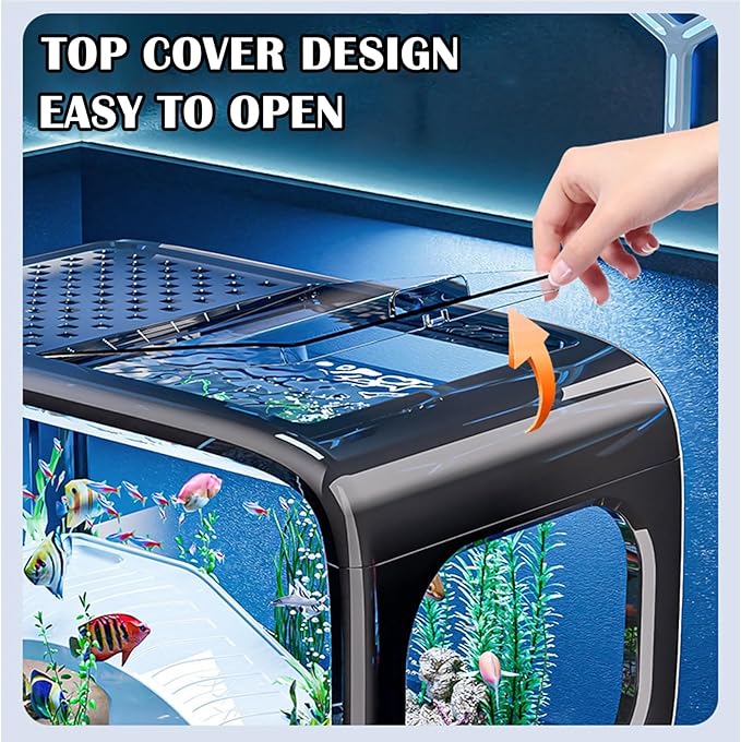 5 Gallon Fish Tank Kit with Air Pump, Climbing Frame, Fish Net, Food, Sea Salt, and Aquascaping for Betta, Small Fish, and Turtles - Ideal for Office and Home Decor