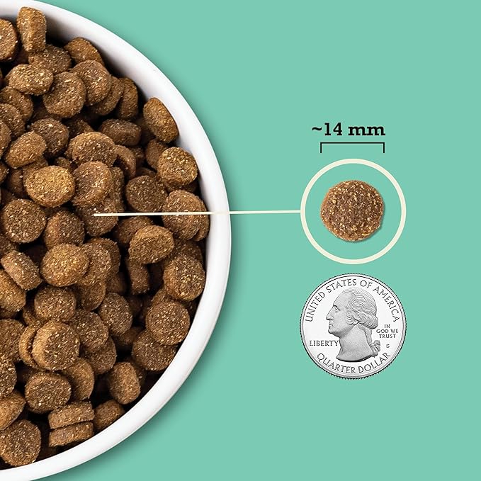 ACANA Wholesome Grains Dry Dog Food Limited Ingredient Lamb & Pumpkin Recipe 4lb Bag