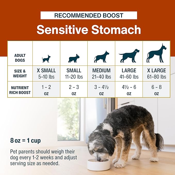 JustFoodForDogs JustFresh Boosts Sensitive Stomach Dog Food Topper with Fiber for Gut Support from Pumpkin, Oats, Psyllium, 8 oz Pouches - 8 Pack