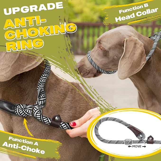 Fida Durable Slip Lead Dog Leash, 6 FT x 3/8" Heavy Duty Comfortable Strong Rope Slip Lead for Small Dogs and Puppies, No Pull Pet Training Leash with Highly Reflective(3/8", Grey)