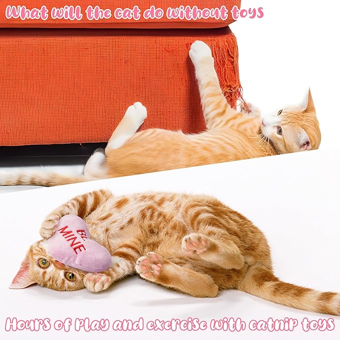 MALLMALL6 5Pcs Valentine’s Day Conversation Heart Catnip Toys Gift for Cat, Indoor Kitten Chew Bite Kick Plush Candy Catmint Pet for Cat Lover Gifts, Cute Interactive Cat Supplies for Pet Presents