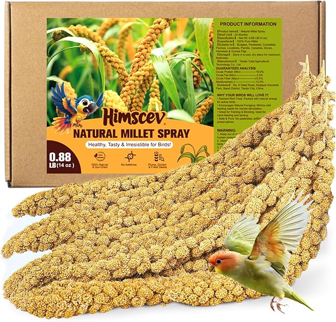 Sun-Dried Spray Millet for Birds - 0.88LBS Natural Non GMO, Healthy Millet Bird Treat, Bird Treats for Parakeets, Parrots, Cockatiels, Lovebirds, Finches & Canaries Food