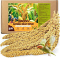 Sun-Dried Spray Millet for Birds - 0.88LBS Natural Non GMO, Healthy Millet Bird Treat, Bird Treats for Parakeets, Parrots, Cockatiels, Lovebirds, Finches & Canaries Food