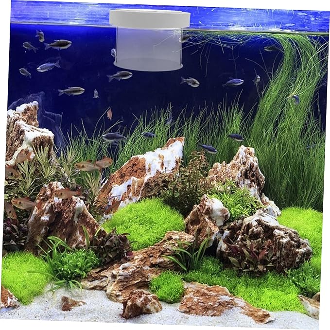 NOLITOY 2pcs Fish Breeding Box Floating Tank for Small Fish Water Permeable Design Easy to Clean High Convenient Aquarium Hatchery