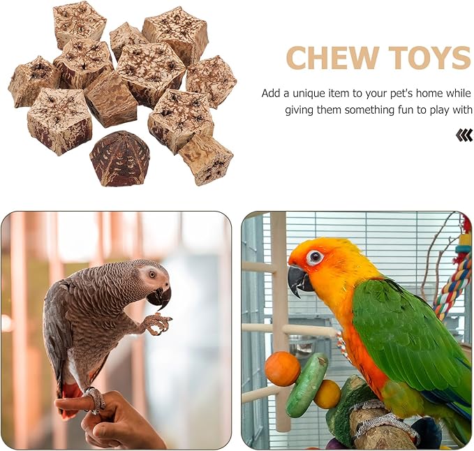 POPETPOP Parrot Foraging and Bird Shredding Natural Chewing Blocks 12Pcs Healthy Wooden Chew Treats for Parakeets and Small Birds Cage Accessories