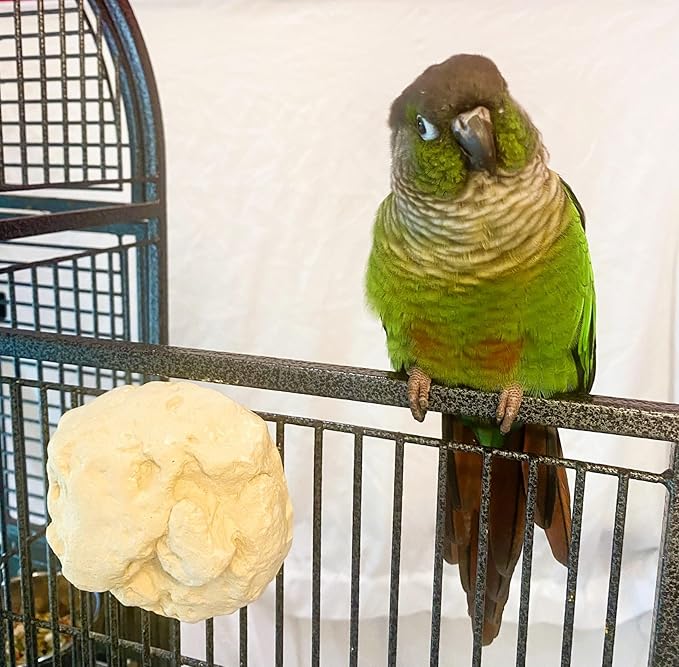 Polly's Pet Products Manu Mineral Blocks Natural for Birds (Pack of 2)