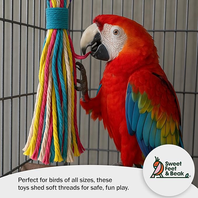 Sweet Feet and Beak Platinum Tweeter Weave Bird Toys - Perfect Cage Toy for Playing & Preening - Colorful, Safe, Cotton Rope - Birds Cage Playground Accessories & Supplies - Parrot Toys (Large)