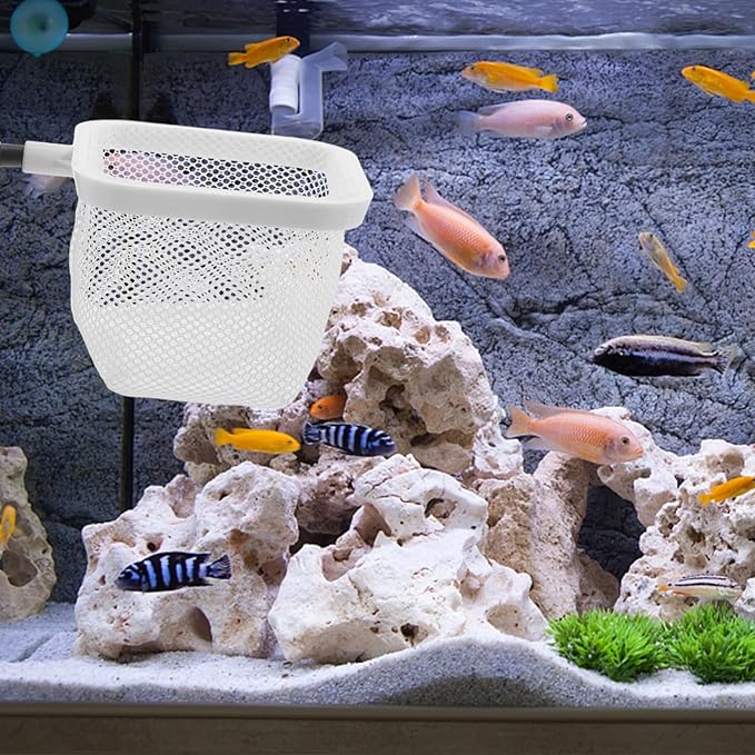 Totority Fish Tank Breeder Net with Suction Cups Durable Isolation Box for Shrimp and Betta Fish Easy Installation and Cleaning Spawning and Protection of Newborns