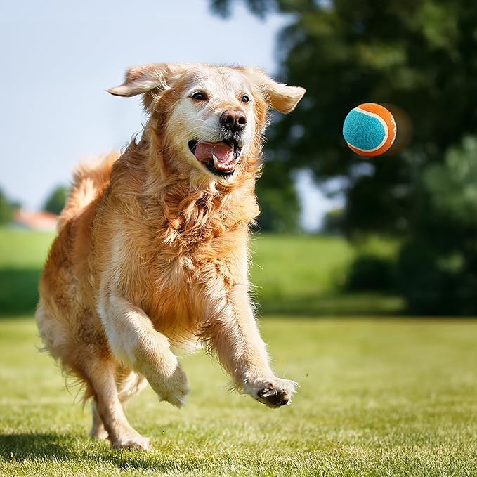 ALL FOR PAWS 19" Dog Ball Thrower, Tennis Ball Fetch Thrower for Dogs, Dog Ball Launcher Toy for Medium & Large Dog, Upgraded Soft and Comfortable Tennis Fetch Handle, 2.5 Inch Ball Included