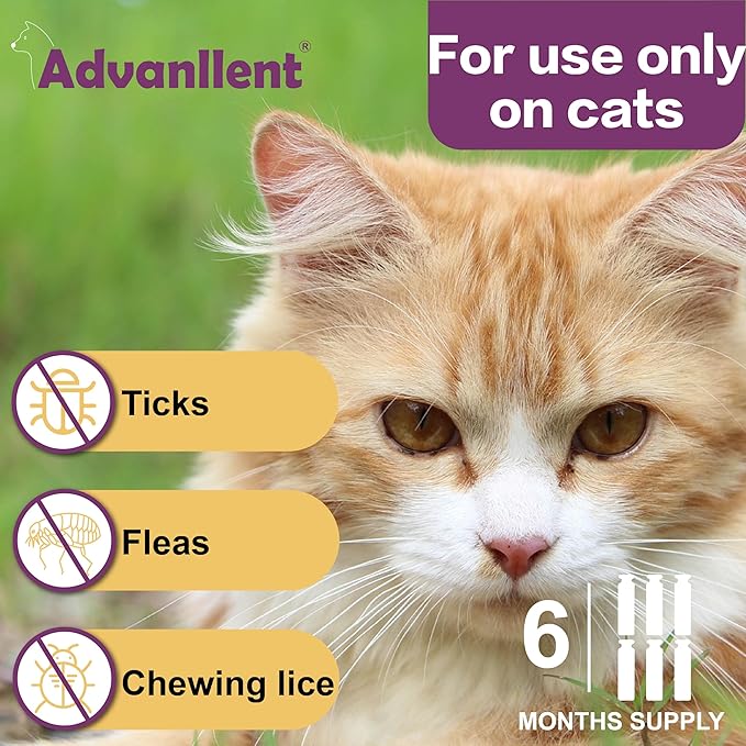 Flea and Tick Prevention for Cats, Flea and Tick Treatment for Cat Kitten, Flea & Tick Control, Over 1.5 Pounds, 6 Doses