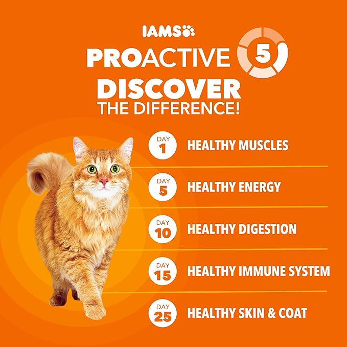 IAMS Proactive Health Dry Cat Food, Healthy Cat Food Dry Recipe for Adults, with Real Salmon, 22 lb. Bag