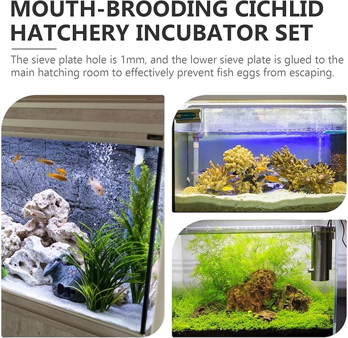 Aquarium Fish Egg Incubator for Cichlid Breeding, 40mm Hatchery Tank Accessory, Tropical Fish Breeding Supply for Home and Professional Aquariums Random Style