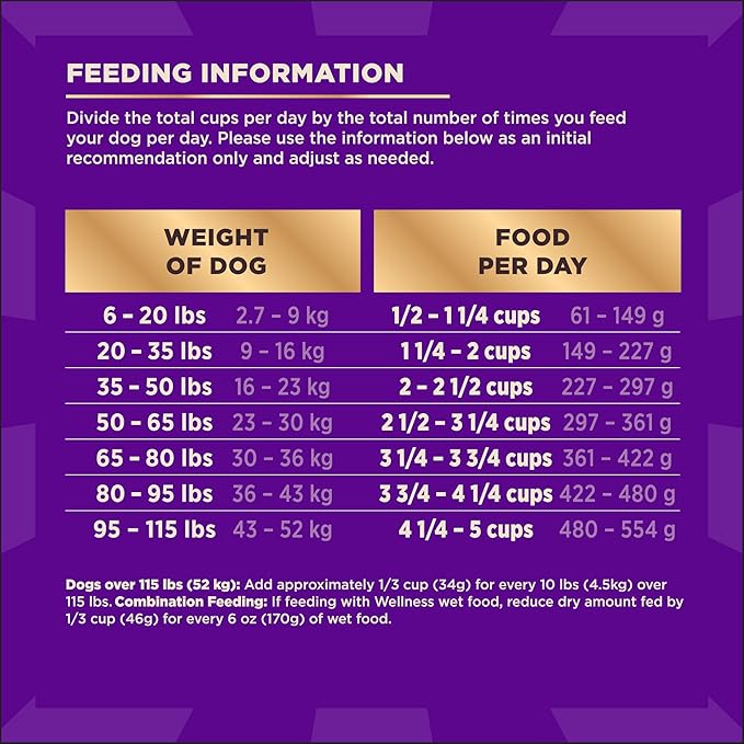 Wellness CORE+ Adult Dry Dog Food with Freeze Dried Pieces, Grain Free Kibble+, Natural, High Protein, Turkey and Chicken Recipe, 4 lb Bag