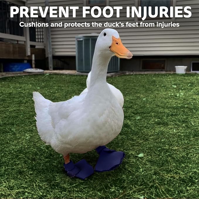 Duck Shoes for Injured Feet – Protective Neoprene Footwear for Ducks, Protective Shoes for Birds with Injured feet, Bumblefoot Relief - Small, 2.5’’ Max. Inside Width - Navy