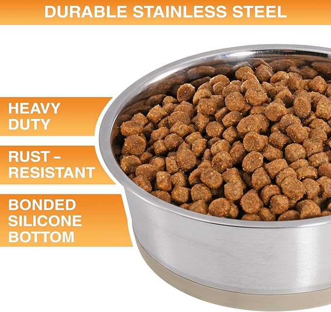 Neater Pet Brands Stainless Steel Dog Bowls with Non-Slip Rubber Bottom – Set of 2, 4 Cup (32 oz), Tan - Heavy Duty Metal Dog Bowl, Dishwasher Safe, Food or Water Bowl, Ideal for Medium Dogs