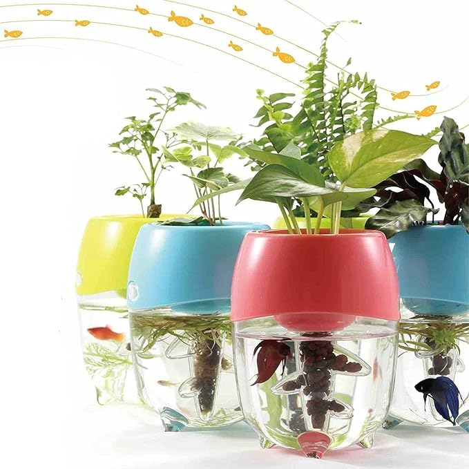 Dr. Moss Aquaponic Fish Tank Aquarium for Betta Fish with Water Garden Planter Top Lid Natural Ecosystem for Plant Growth (Green)