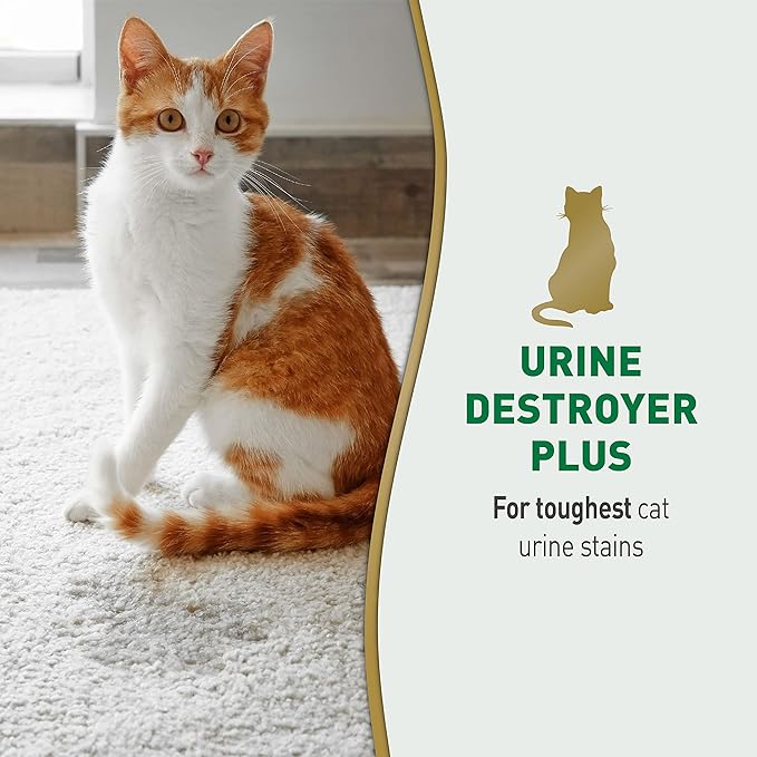 Nature's Miracle Urine Destroyer Plus for Cats, Unscented, Enzymatic Formula for Severe Cat Urine Stains, 1 Gal
