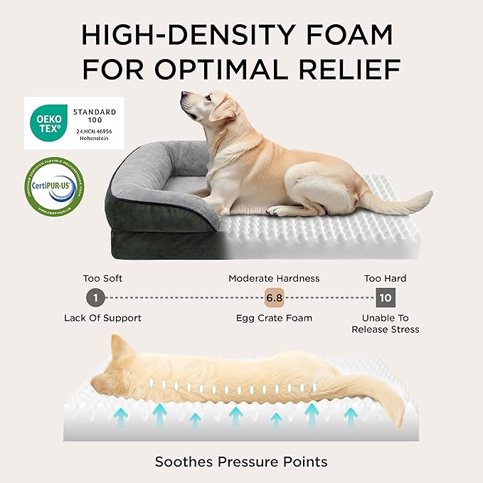 Bedsure L Plus Orthopedic Dog Bed for Large Dogs - Waterproof Dog Cat Bed, L Plus Big Comfort Dogs Couch Sofa with Washable Removable Cover, Pet Bed with Nonskid Bottom, Boreal Canopy Green, 38"