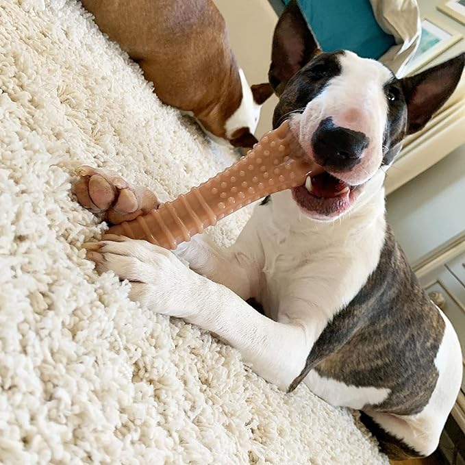 Nylabone Textured Knuckle Bone Power Chew Toy for Dogs, Durable & Tough Dog Toys for Aggressive Chewers, Bacon Flavor, X-Large - 50+ lbs, 1 Count