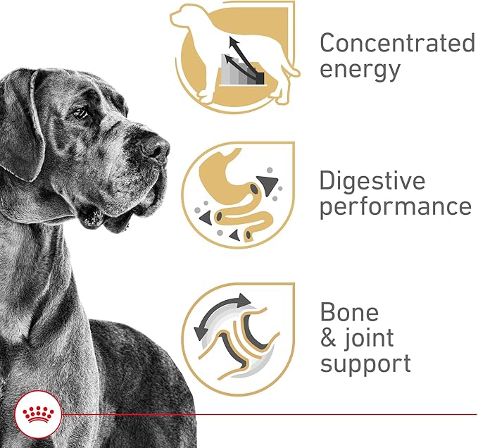 Royal Canin Breed Health Nutrition Great Dane Adult Dry Dog Food, 30 lb Bag