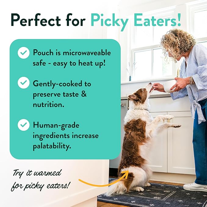 Portland Pet Food Company Fresh Dog Food Pouches - Human-Grade Topper Mix-Ins & Wet Pet Meals - Small & Large Breed Puppy & Senior Dogs - Gluten-Free Limited Ingredient Meal Toppers - 8 Pack Variety