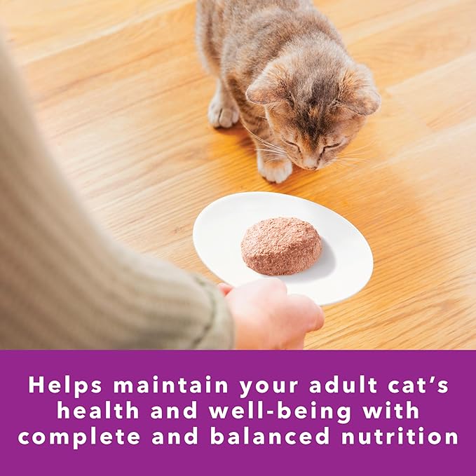 IAMS Perfect Portions Sensitive Digestion & Skin Adult Wet Cat Food Pate, Turkey Recipe, 2.6 oz. Easy Peel Twin-Pack Trays (24 Count, 48 Servings) (Pack of 2)