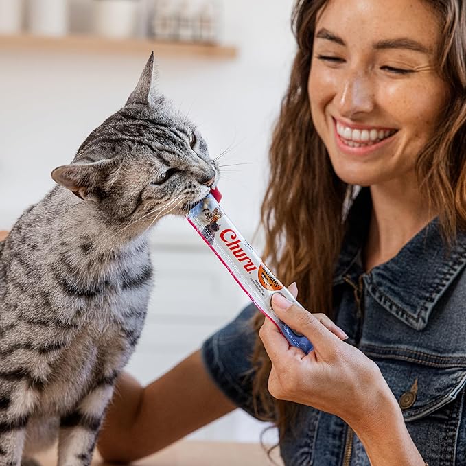 INABA Salmon Churu Cat Treats, Lickable, Squeezable Creamy Purée Cat Treat with Green Tea Extract & Taurine, 0.5 Ounces Each Tube, 10 Tubes, Salmon & Tuna Variety