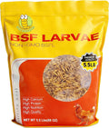 5.5LB Dried Black Solider Fly Larvae, BSFL is High Protein Chicken Feed with 85x More Calcium Than Dried Mealworms, Poultry Treats, Chickens Love, Birds Love, Hens Love, Ducks Love