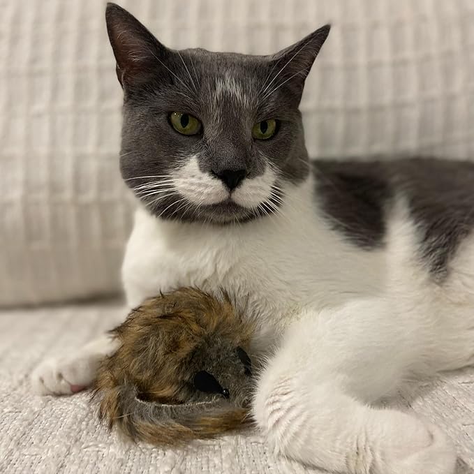 SPOT Shaggy Plush Giant Mouse - Cat Toy, Fuzzy Mice with Catnip and Rattle Toy for Indoor Cats and Kittens, Perfect Size for Pouncing on, Chasing, Hunting - 8.5in, 1 Piece