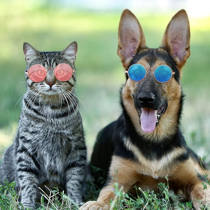 Weewooday 15 Pieces Dog Sunglasses Cat Sunglasses Retro Small Pet Round Metal Glasses Puppy Funny Cosplay Glasses Doll Photo Props Eyewear Costume for Small Medium Dogs