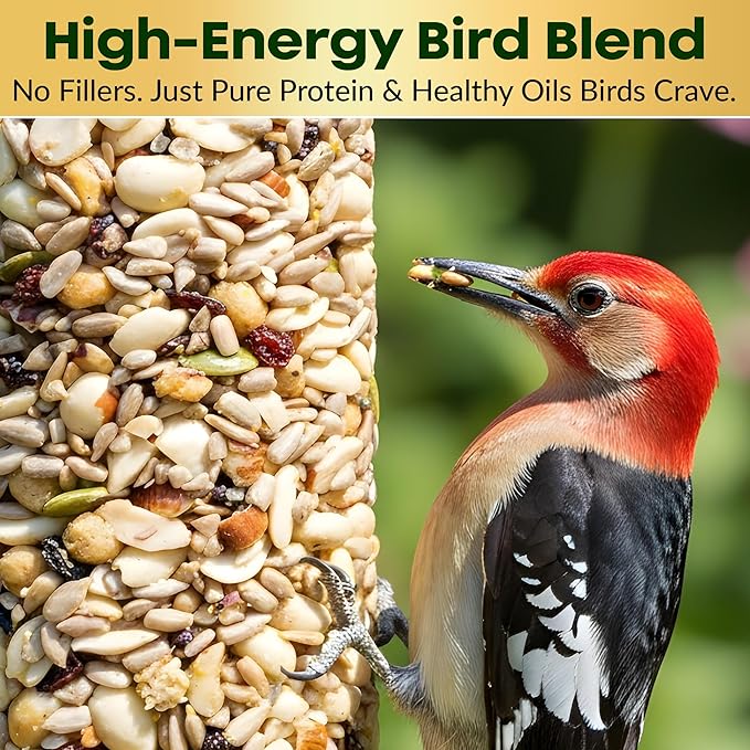 Woodpecker Bird Seed Cylinders with Hole – Premium Woodpecker Food Blend with Sunflower Chips, Peanuts & Suet – Natural High Energy Bird Seed, No Filler, No Shell, No Mess – USA Made (4" x 7.75")