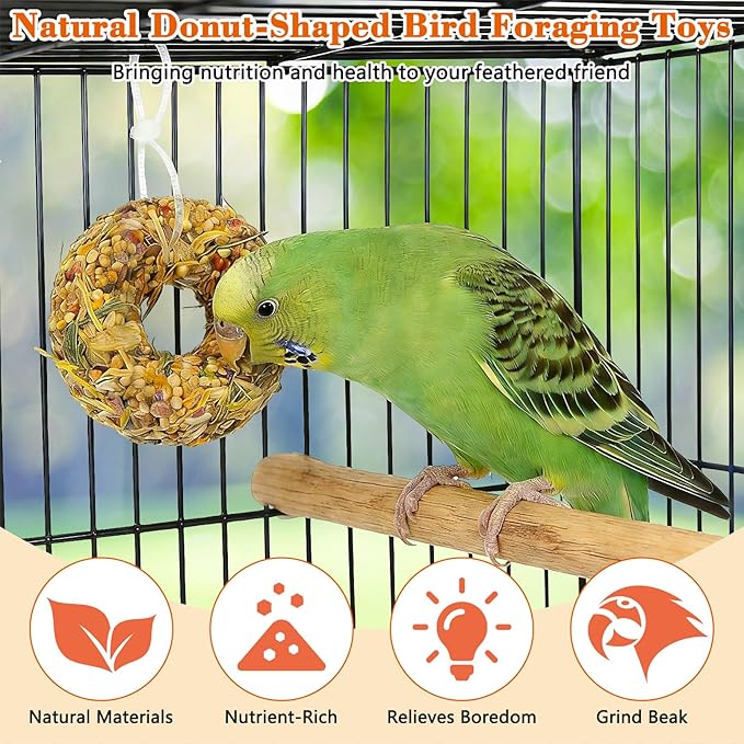 Fhiny Parakeet Treats, 8 PCS Donut Shaped Natural Grain Cockatiel Food with Fruits Vegetables Flowers and Herbs for Parrot Conure Lovebird Training Rewards and Beak Grinding